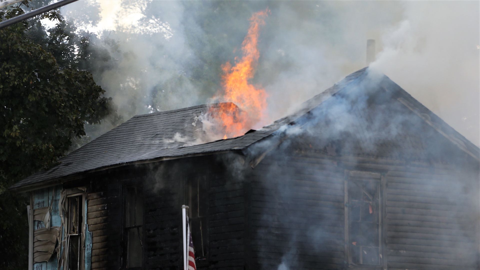 Buffalo fire 4